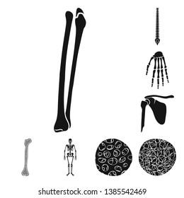 Vector illustration of biology and medical icon. Collection of biology and skeleton stock vector illustration.