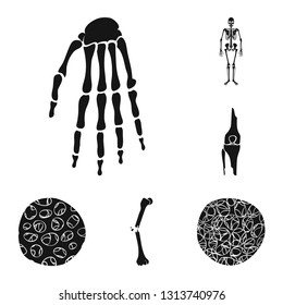 Vector illustration of biology and medical logo. Set of biology and skeleton vector icon for stock.