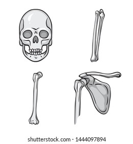 Vector illustration of biology and medical symbol. Collection of biology and skeleton stock symbol for web.