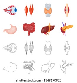 Vector illustration of biology and scientific icon. Collection of biology and laboratory stock vector illustration.