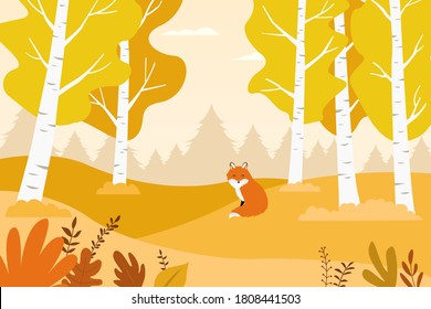 Ilustración vectorial del bosque de abedules y zorro en otoño.