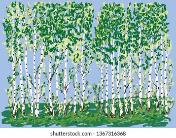 Vector illustration of birch grove in summer