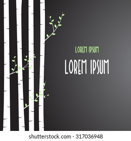 Vector illustration: Birch tree background for you design