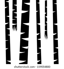 Vector illustration of birch trees in a forest