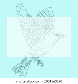 Vector illustration of a bird