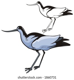 Vector illustration of a bird.