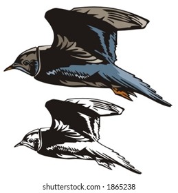 Vector illustration of a bird.