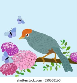 vector illustration of a bird