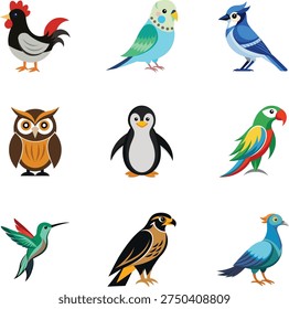 Vector Illustration of bird Collection. Falcon, Hummingbirds, penguins,columbidae, owl, budgeigar, hen, parrots