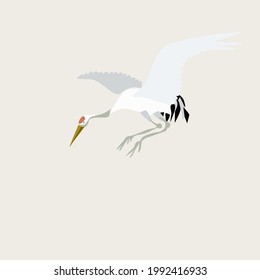 Vector illustration of a bird. A crane flies on a beige background with a copy of the space. Close-up