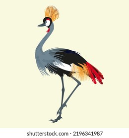 vector illustration bird crowned crane