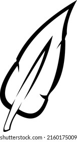 Ilustración vectorial de una pluma de aves dibujada en blanco y negro