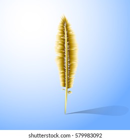 Vector illustration bird feather on a blue background