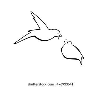 Vector illustration bird feeding chick. Black on white