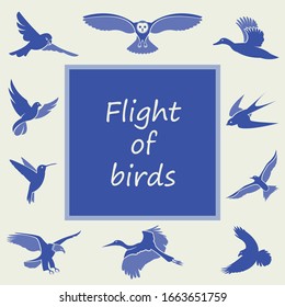 vector illustration of a bird in flight