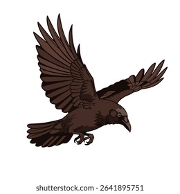 Vector illustration of a bird in flight on a white background