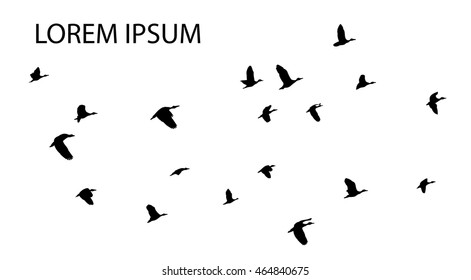 vector illustration of bird flying with copyspace