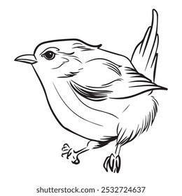Ilustração vetorial desenho gráfico de pássaro,esboço de tatuagem de arte,desenho de mão,uso na impressão