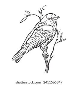 Ilustración vectorial diseño gráfico de aves,dibujo de tatuajes,uso en impresión,impresión