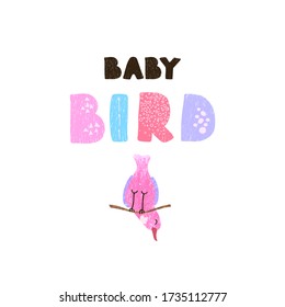 Vector illustration of bird and hand drawn lettering, Baby bird. Colorful typography design in Scandinavian style for postcard, banner, t-shirt print, invitation, greeting card, poster, graphic design