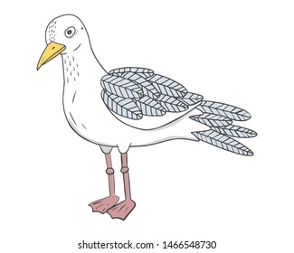 Vector illustration of a bird isolated on white background. White seagull with blue feathers. 