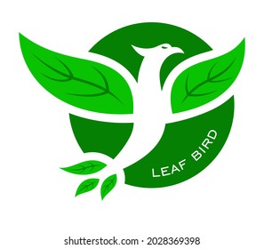 Vector illustration of bird with leaf wings in green. Logotype of bird.