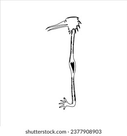 vector illustration of bird with legs concept