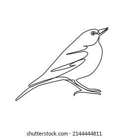 Vector illustration of bird in line art style