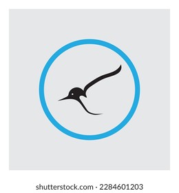 vector illustration of Bird logo and symbol  design