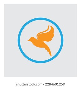 vector illustration of Bird logo and symbol  design