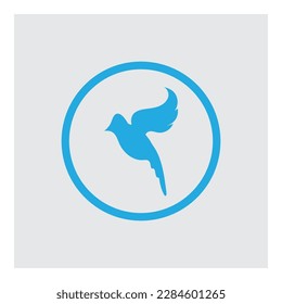 vector illustration of Bird logo and symbol  design