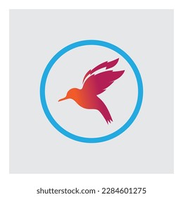 vector illustration of Bird logo and symbol  design