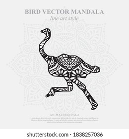 Vector illustration of a bird mandala for coloring book. Bird Mandala for Silhouette Cameo and Cricut.