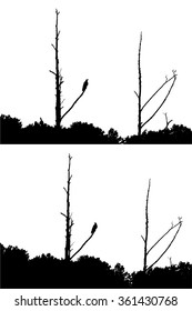 Vector illustration of bird and naked winter trees silhouette. Mystic, mysterious, creepy, simple, horror. Black & white.