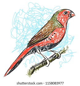 Vector illustration of bird on branch, hand pointing