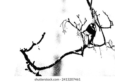 Vector illustration of bird on the branch