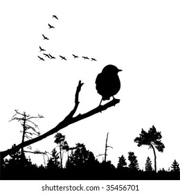 vector illustration of the bird on branch