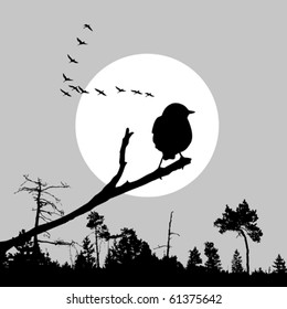 vector  illustration of the bird on branch