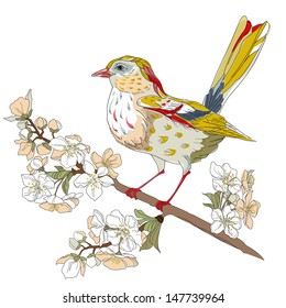 vector illustration of ? bird on flowering branch