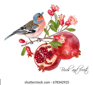 Vector illustration with bird on a pomegranate branch with fruits and flowers isolated on white. Design element for Wedding, birthday, halal cosmetics. Can be used for poster, invitation or scrapbook