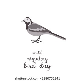 Vector illustration of a bird on a white background. Wagtail migratory bird. World Migratory Bird Day.