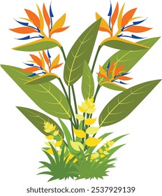 Vector illustration of bird paradise flower with grass