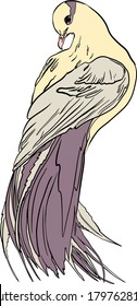 Ilustración vectorial de un pájaro del paraíso aislado en un fondo blanco. Pájaro exótico para imprimir en papel, logotipo, ropa, mantas para diseñadores
