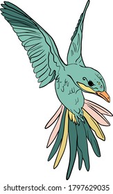 Ilustración vectorial de un pájaro del paraíso aislado en un fondo blanco. Pájaro exótico para imprimir en papel, logotipo, ropa, mantas para diseñadores