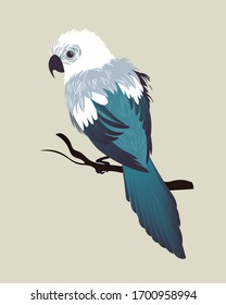 Vector illustration of bird - parrot. Flat style design