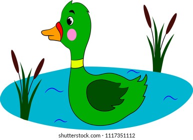 vector illustration of a bird pattern