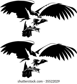 Vector illustration of a bird of prey. Condor. Black and white.