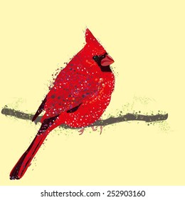 vector illustration bird red cardinal