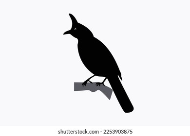 Vector illustration of a bird silhouette with a crest on its head
