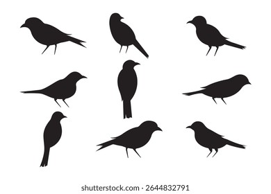 Vector illustration of Bird Silhouettes in Various Poses on White Background